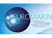 Becas EuroMarine Consortium 2012