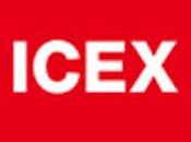 Becas ICEX para prácticas informática España 2012