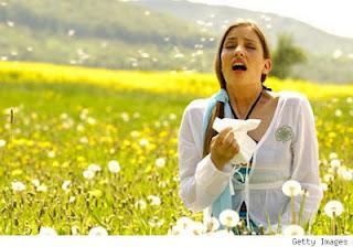 Alergias de Primavera ¿Qué hacer?