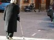 Plantean programa contributivo pensiones