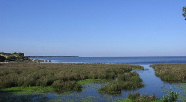 El hombre y la Tierra: Doñana (II)
