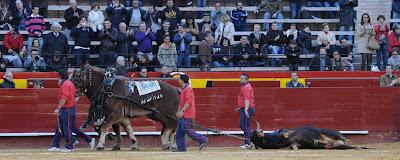 Lo corriente como excepcional