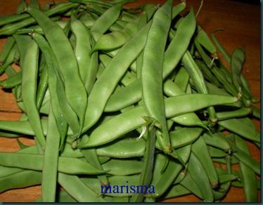 judias verdes recogidas copia