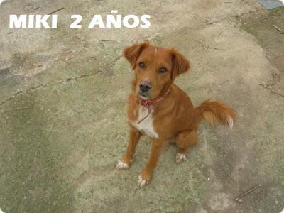 ESTAN ENFERMOS PERO CON MEDICACION PUEDEN VIVIR MUCHOS AÑOS TODAVÍA, ANIMAROS!!