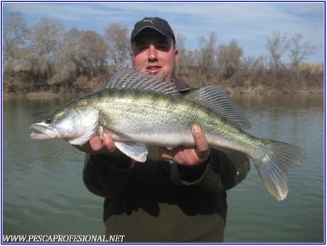 sandra sandra LUCIOPERCAS A SPINNING