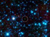 Halladas estrellas frías Universo; temperatura baja cuerpo humano