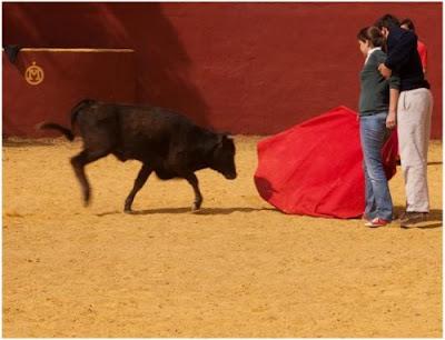 Corridas de toros para niños.