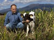 Conocer ganaderos. origen yogures Danone