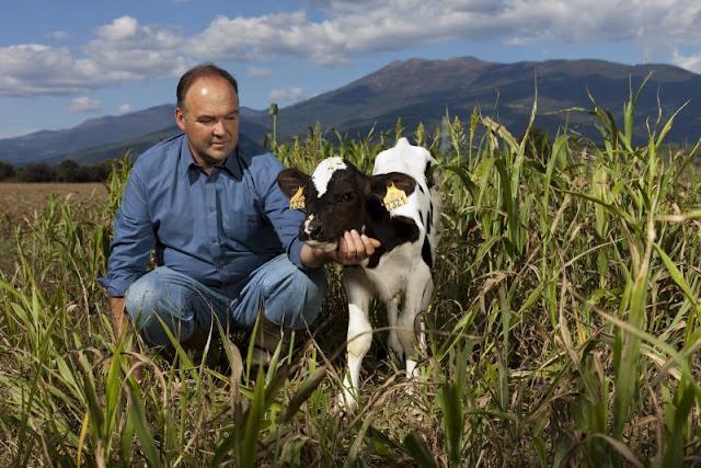Conocer a los ganaderos. El origen de los yogures Danone