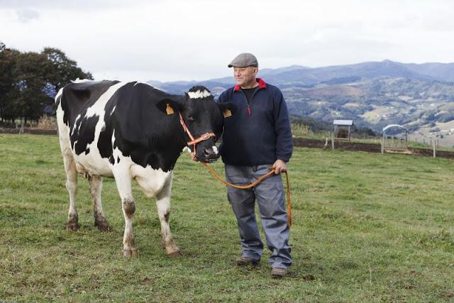 Conocer a los ganaderos. El origen de los yogures Danone
