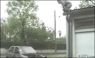 tumblr_m0l7v0IWqC1qdlh1io1_400