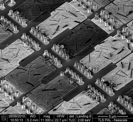 Ganadores del concurso Fei 2011 de microfotografía Ganadores del concurso Fei 2011 de microfotografía