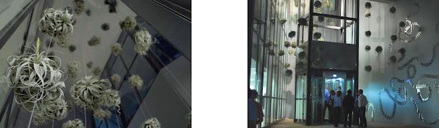 Intervenciones Verdes... Claveles en el Aire