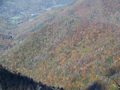 Southeast US: Día 3, 2ª parte, Great Smoky Mountains & Blue Ridge Parkway