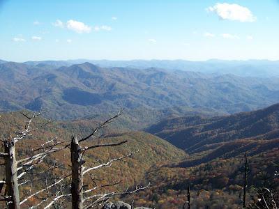 Southeast US: Día 3, 2ª parte, Great Smoky Mountains & Blue Ridge Parkway