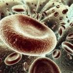 Las células y el cáncer.