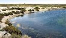 Punta Entinas Sabinar (Almería)