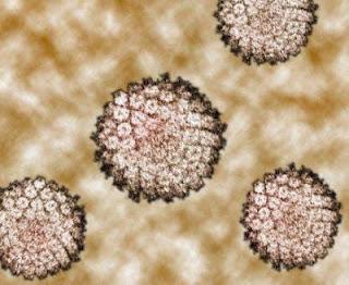 Alimentos buenos y malos para la prevención del cáncer