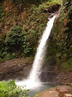 Las Cataratas de La Paz. Fresas y Moras...