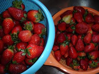 Las Cataratas de La Paz. Fresas y Moras...