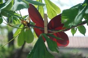 NO INTENTO ENTENDER…