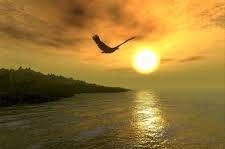 Animarse a volar….