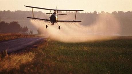 La verdad sobre la Mentirosa LECHE de SOJA