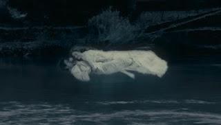 El Cine de Manoel de Oliveira