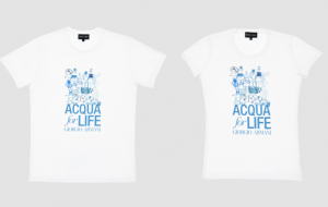 Captura de pantalla 2012 03 15 a las 21.14.18 300x190 Compromiso solidario Acqua For Life 2012