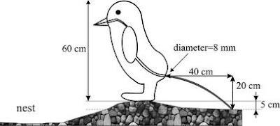 Ciencia Friki I: la propulsión de la caca de pingüino