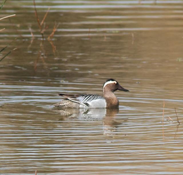 UN SÁBADO MUY DIVERTIDO