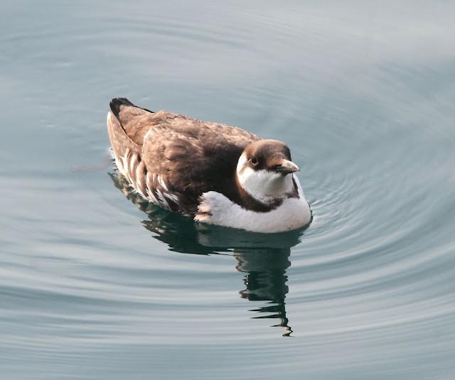 UN SÁBADO MUY DIVERTIDO