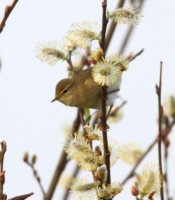 UN SÁBADO MUY DIVERTIDO