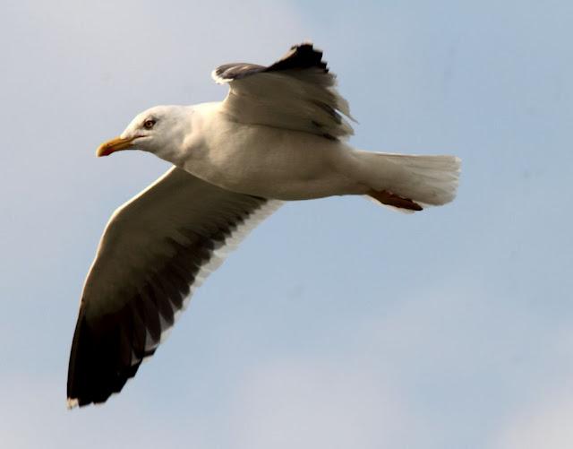 UN SÁBADO MUY DIVERTIDO