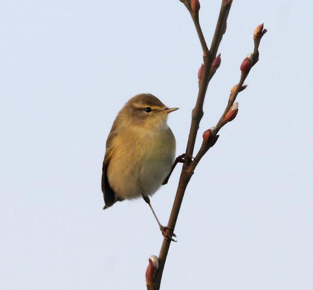 UN SÁBADO MUY DIVERTIDO