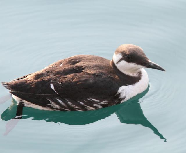 UN SÁBADO MUY DIVERTIDO