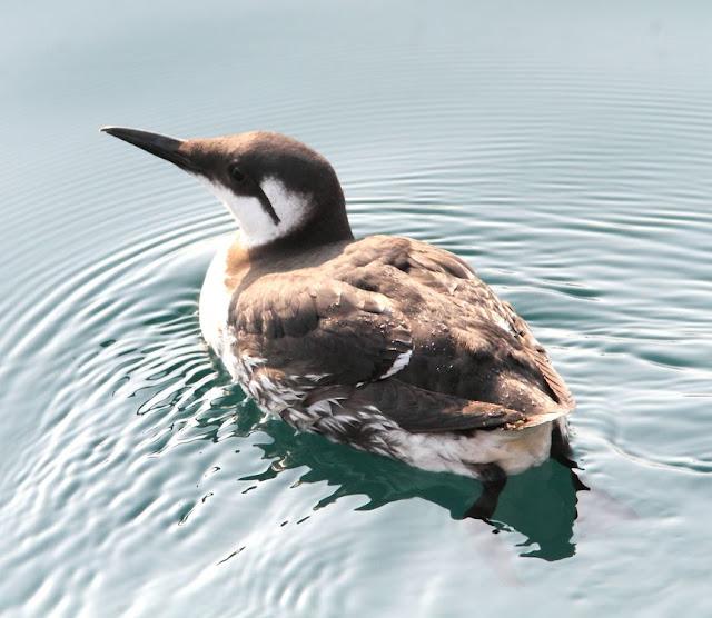 UN SÁBADO MUY DIVERTIDO