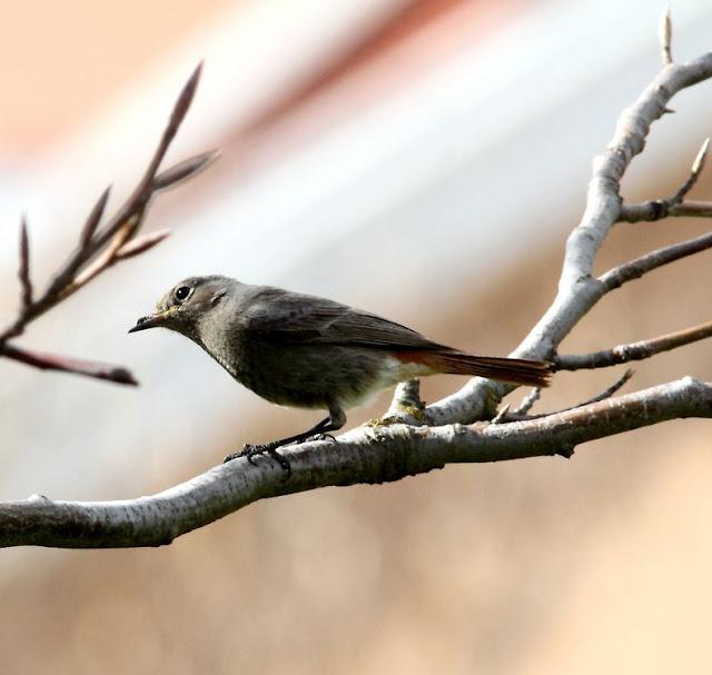 UN SÁBADO MUY DIVERTIDO