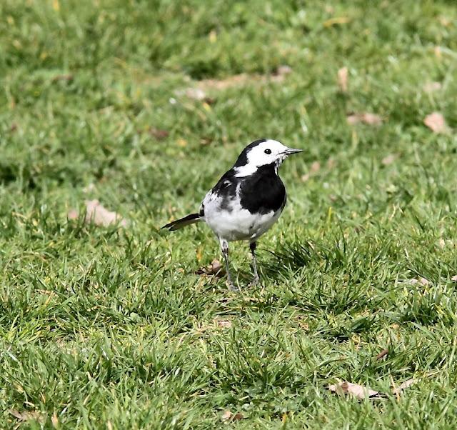 UN SÁBADO MUY DIVERTIDO