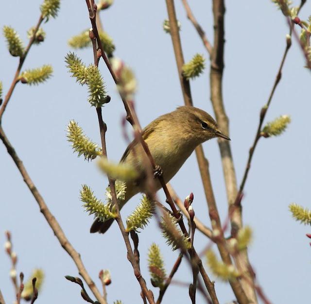 UN SÁBADO MUY DIVERTIDO