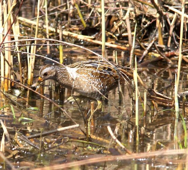 UN SÁBADO MUY DIVERTIDO