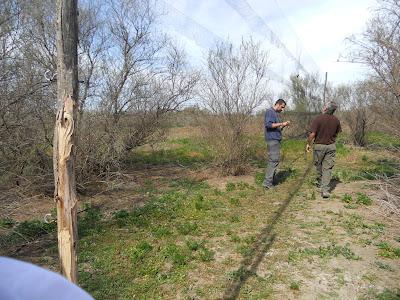 Anillamiento en la zona de La Quintanilla, Paraje Natural del Brazo del Este (SE)