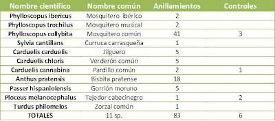 Anillamiento en la zona de La Quintanilla, Paraje Natural del Brazo del Este (SE)