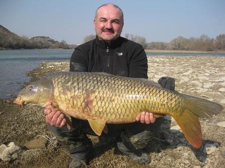 CARPA COMUN 1 CARPFISHING EN EMBALSE DE MEQUINENZA