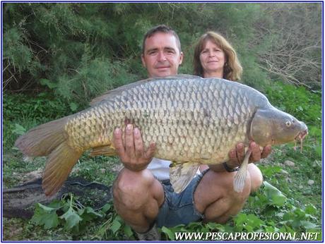 GUIAS DE PESCA DE LA CARPA 5 CARPFISHING EN EMBALSE DE MEQUINENZA