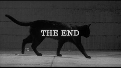 En el límite de la censura: La gata negra