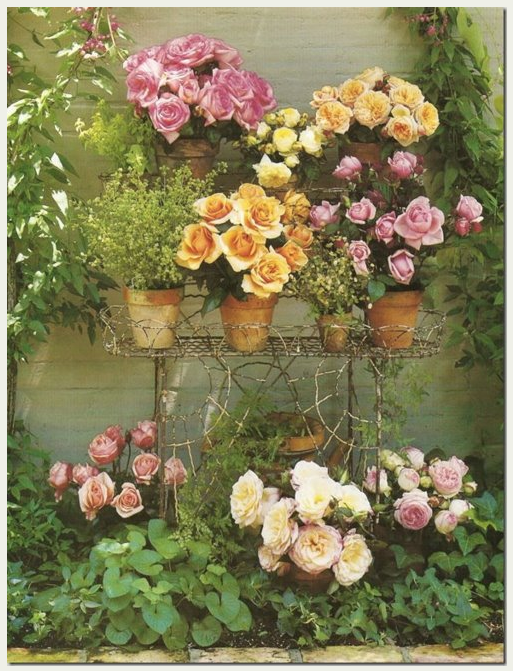 BIENVENIDA A LA PRIMAVERA