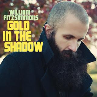 [Disco] William Fitzimmons - Gold In The Shadow (2011)