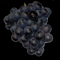 La alimentación  y el glaucoma