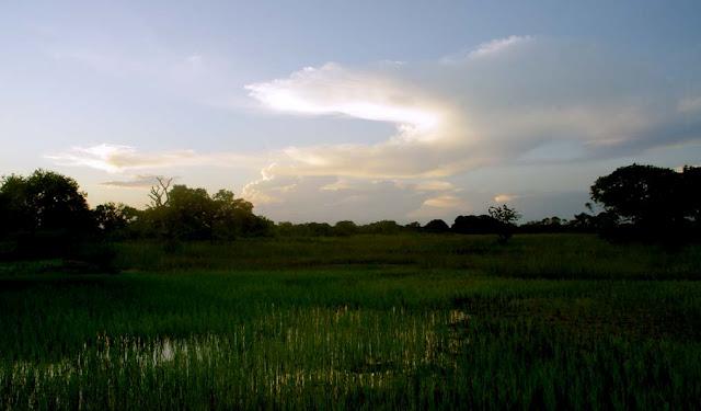 Islas nuestras de cada día